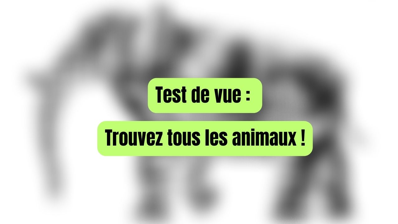 Test De Vue Arriverez Vous Trouver Les Animaux Cach S