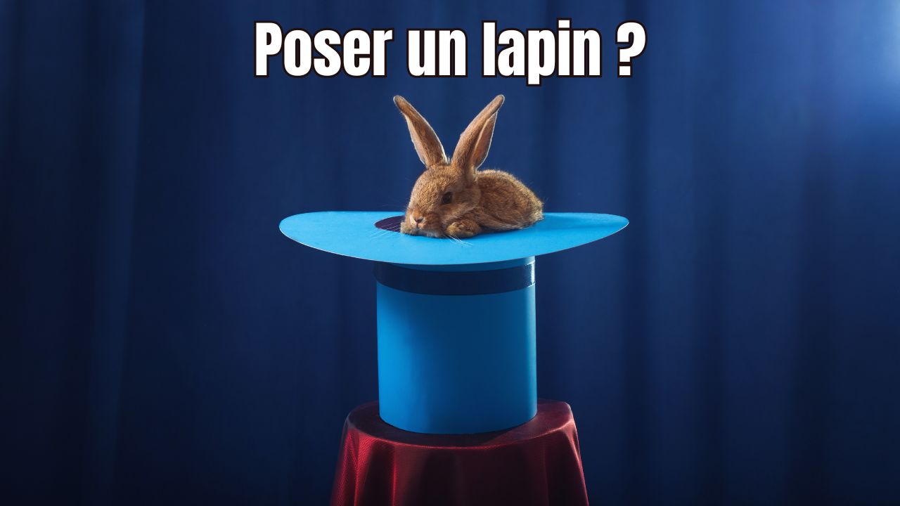 Poser Un Lapin Savez Vous D O Vient Cette Expression