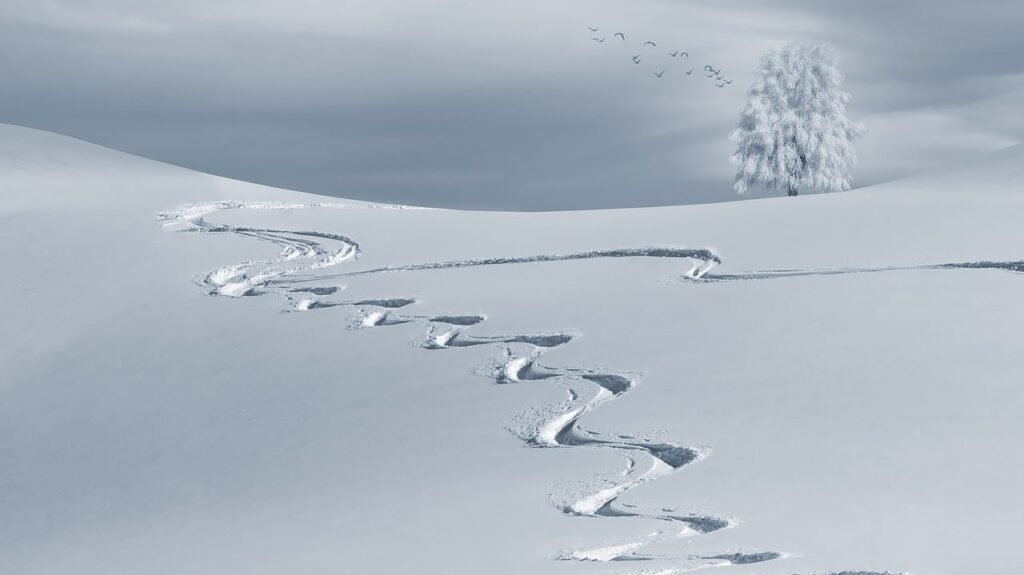 traces de skis dans la neige