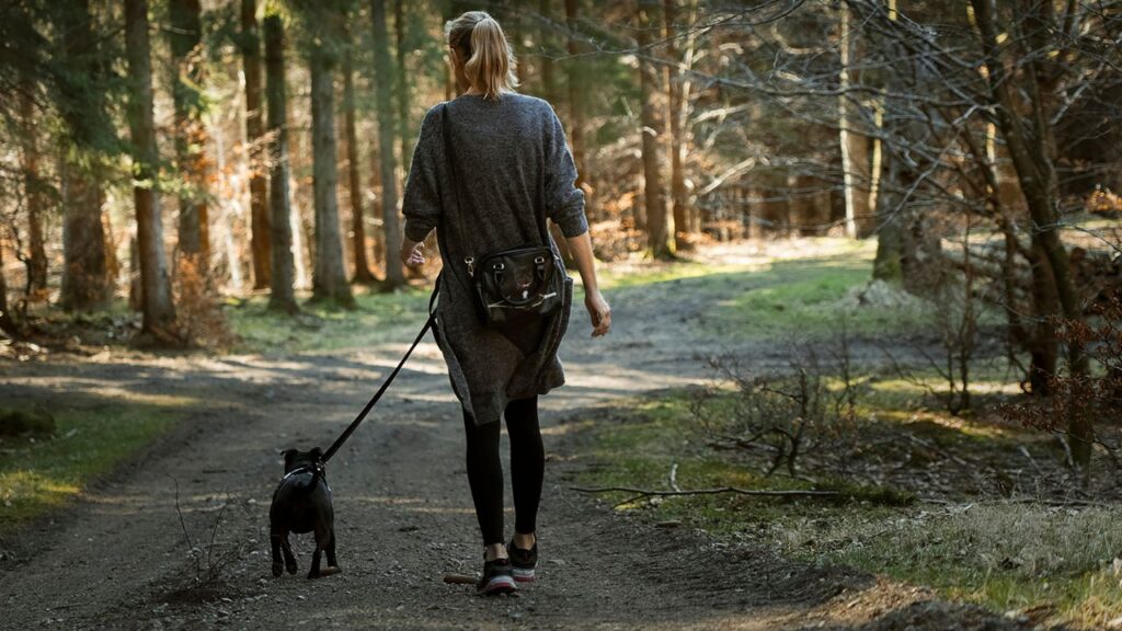 tenir chien en laisse france obligatoire (1)