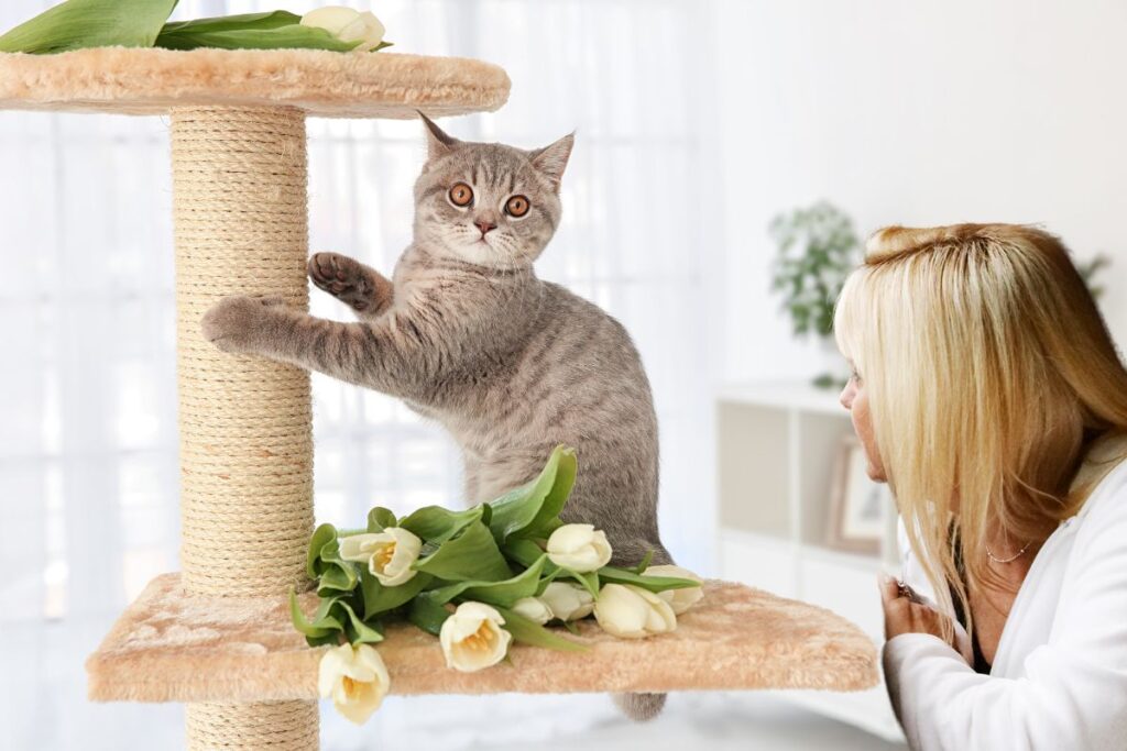 Une femme éduque son chat à reconnaître son nom.