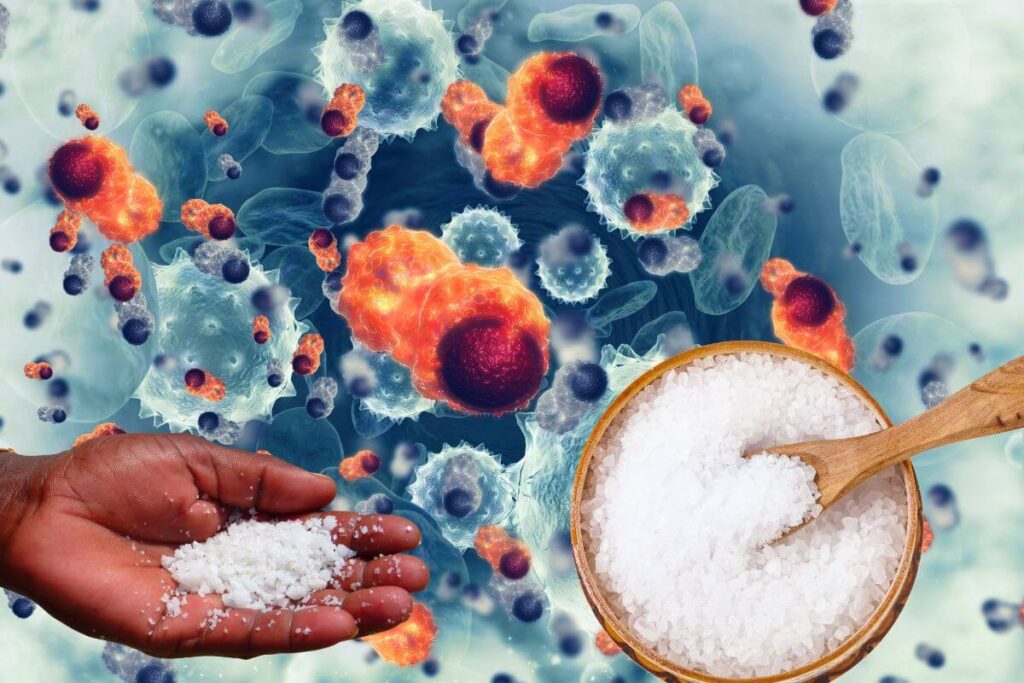 La consommation de sel et le développement d'un cancer gastrique