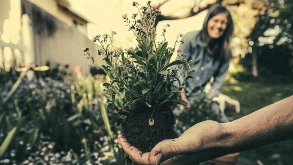 jardinage-et-santé-mentale (1)