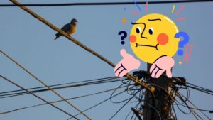 pourquoi oiseaux fils électriques