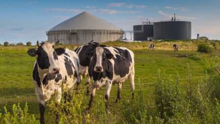 biogaz gaz naturel stockage