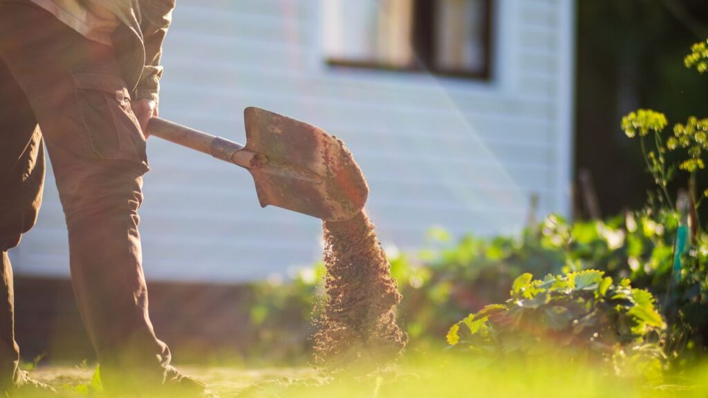 enterrer son animal mort jardin