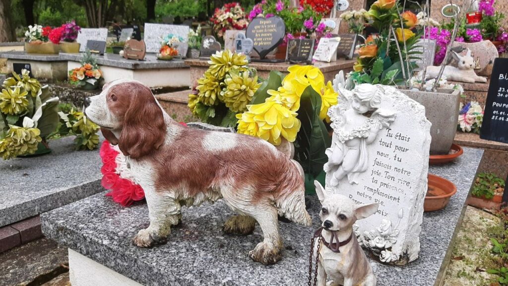 mort animal cimetiere